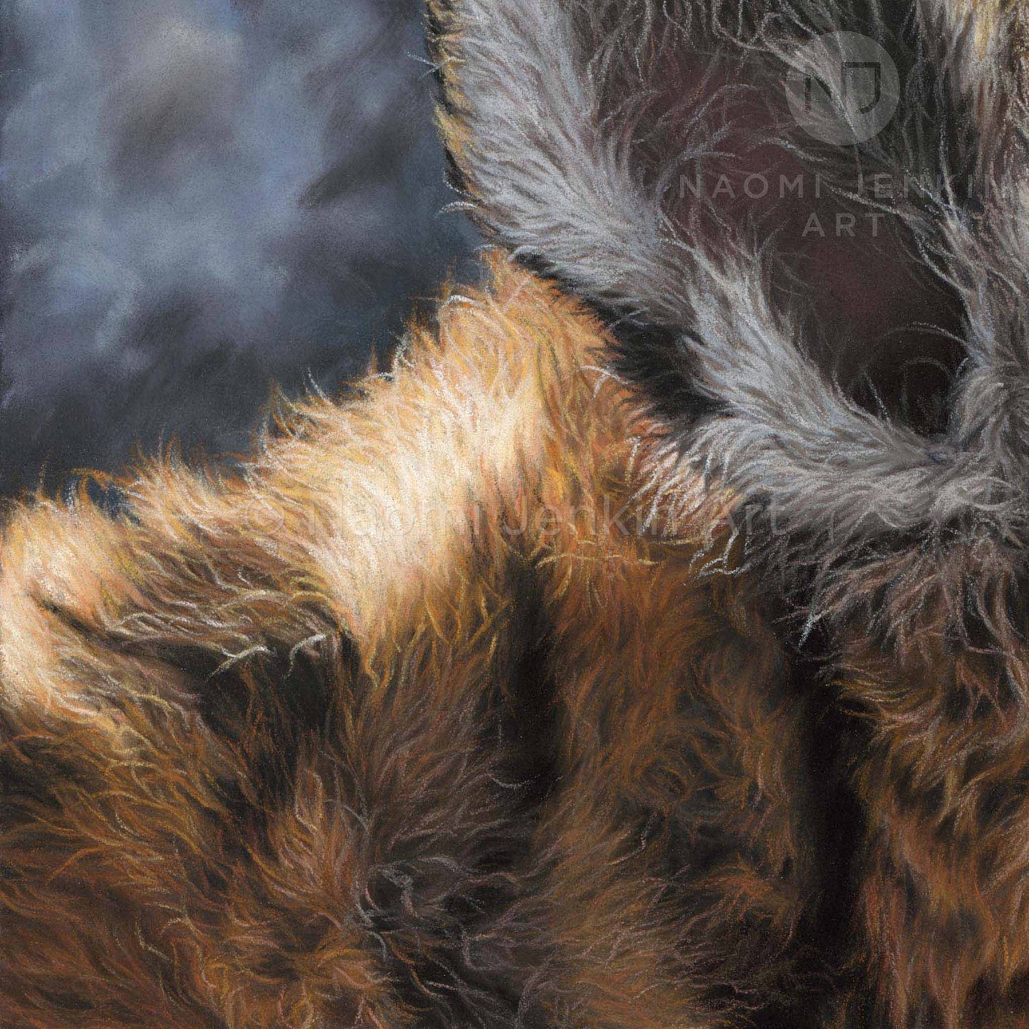 Close up tiger ear drawing from the print 'Tigers of the Taiga' by Naomi Jenkin