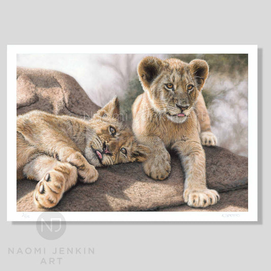 Lion art print 'Two Brothers' by wildlife artist Naomi Jenkin Art