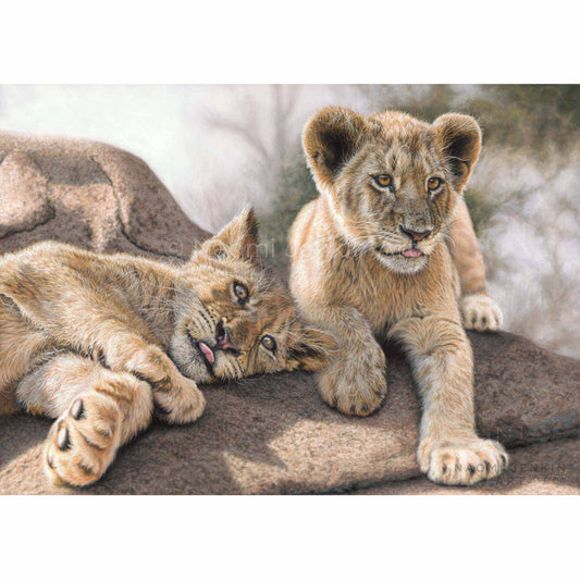 Original lion cub painting by wildlife artist Naomi Jenkin Art
