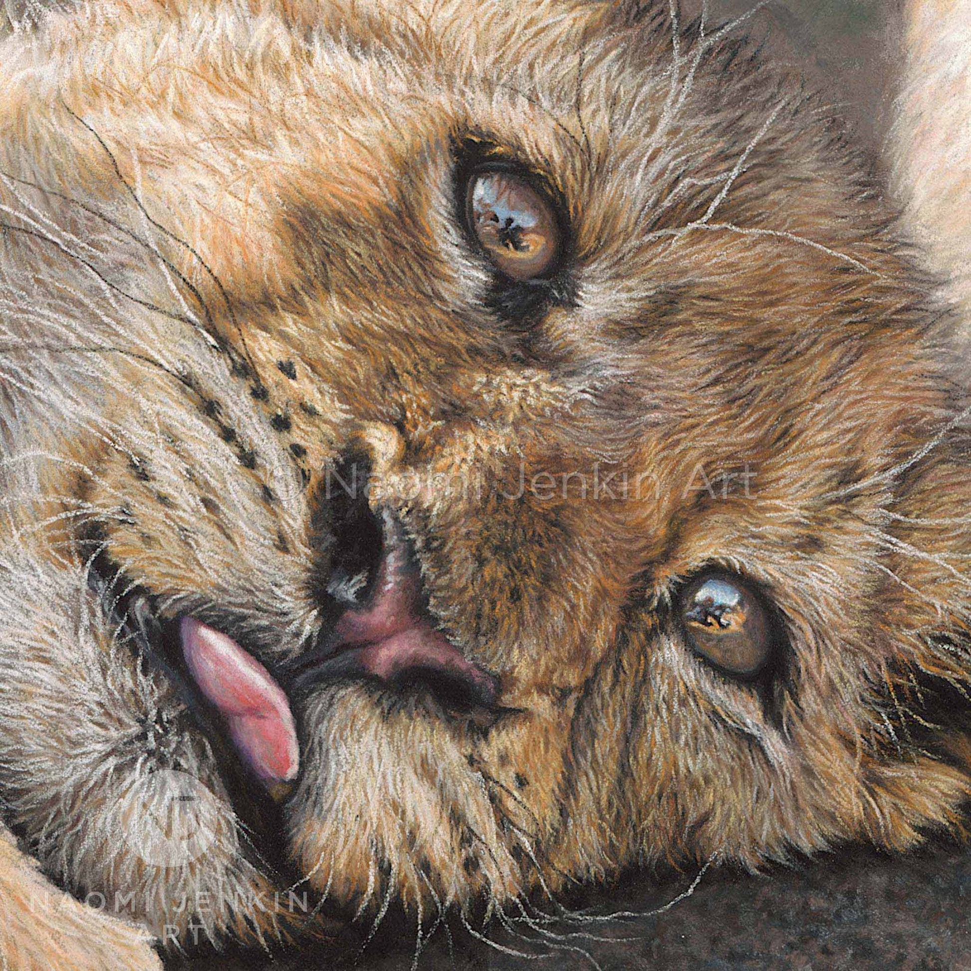 Close up painting of a lion cub's face from the artwork 'Two Brothers' by Naomi Jenkin 