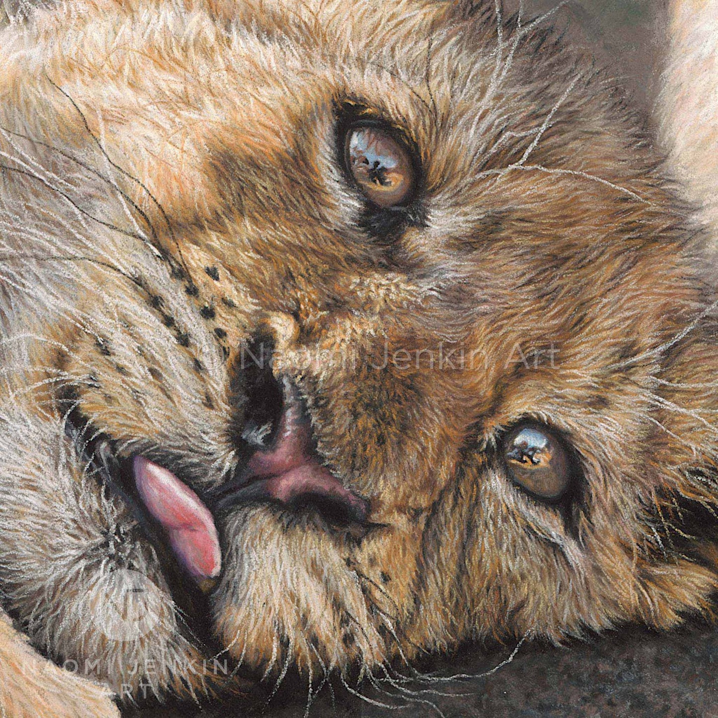 Close up drawing of a lion cubs face by artist Naomi Jenkin as part of the 'Two Brothers' lion print