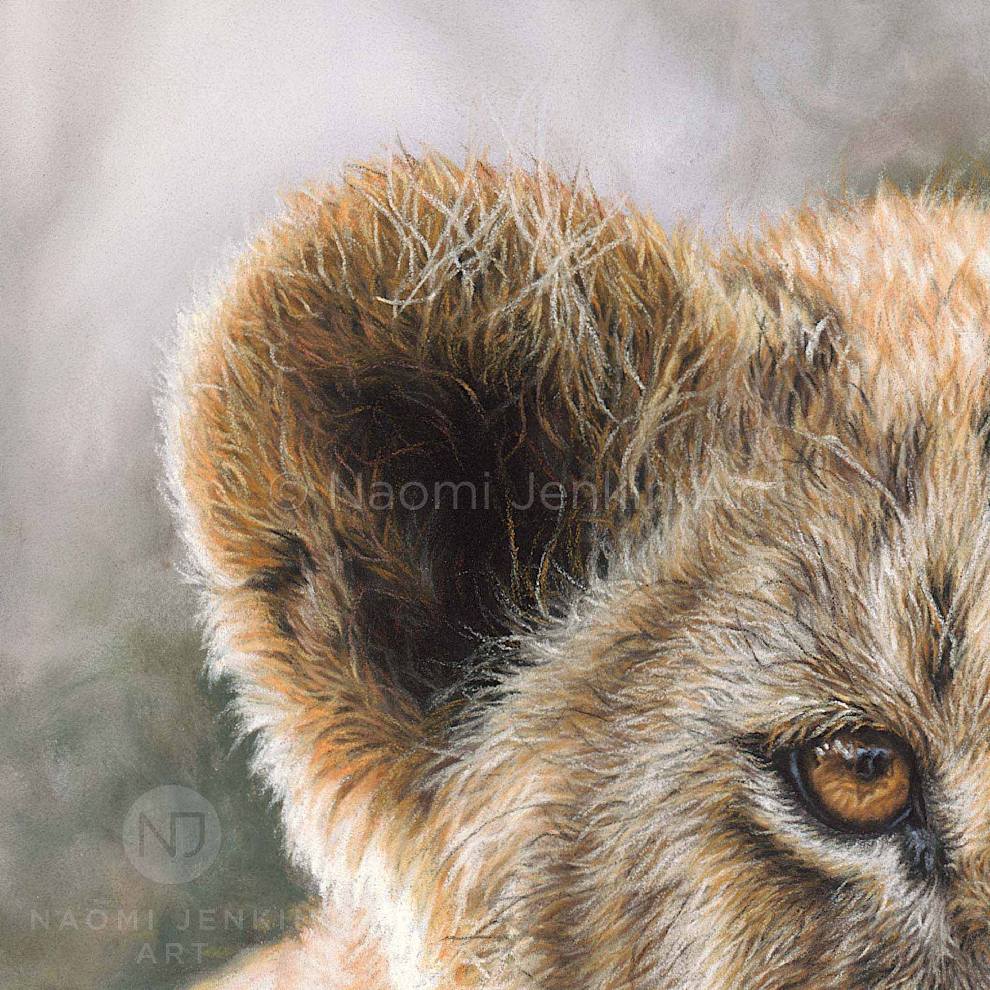 Close up drawing of a lion cubs ear by artist Naomi Jenkin as part of the 'Two Brothers' lion print