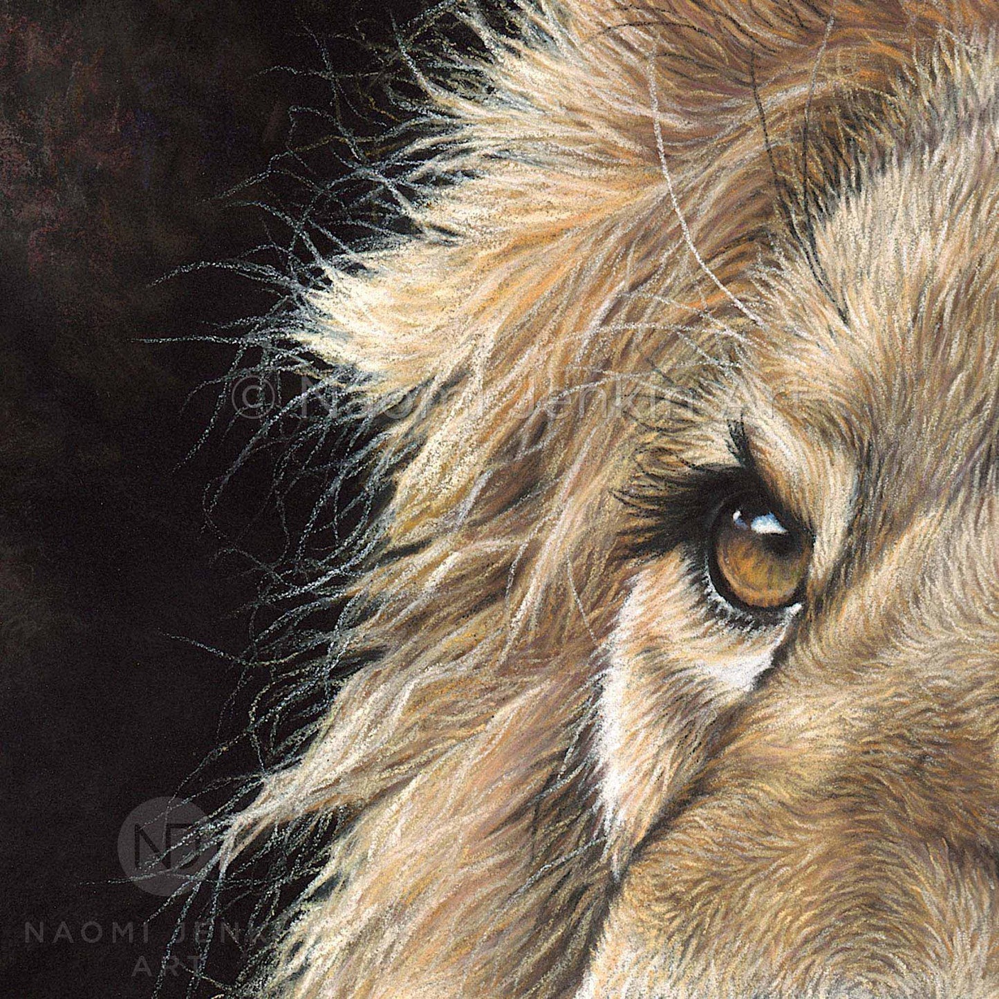 Close up lion face drawing from the print 'Watchful Eyes' by Naomi Jenkin