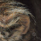 Close up of an original lion painting by Naomi Jenkin