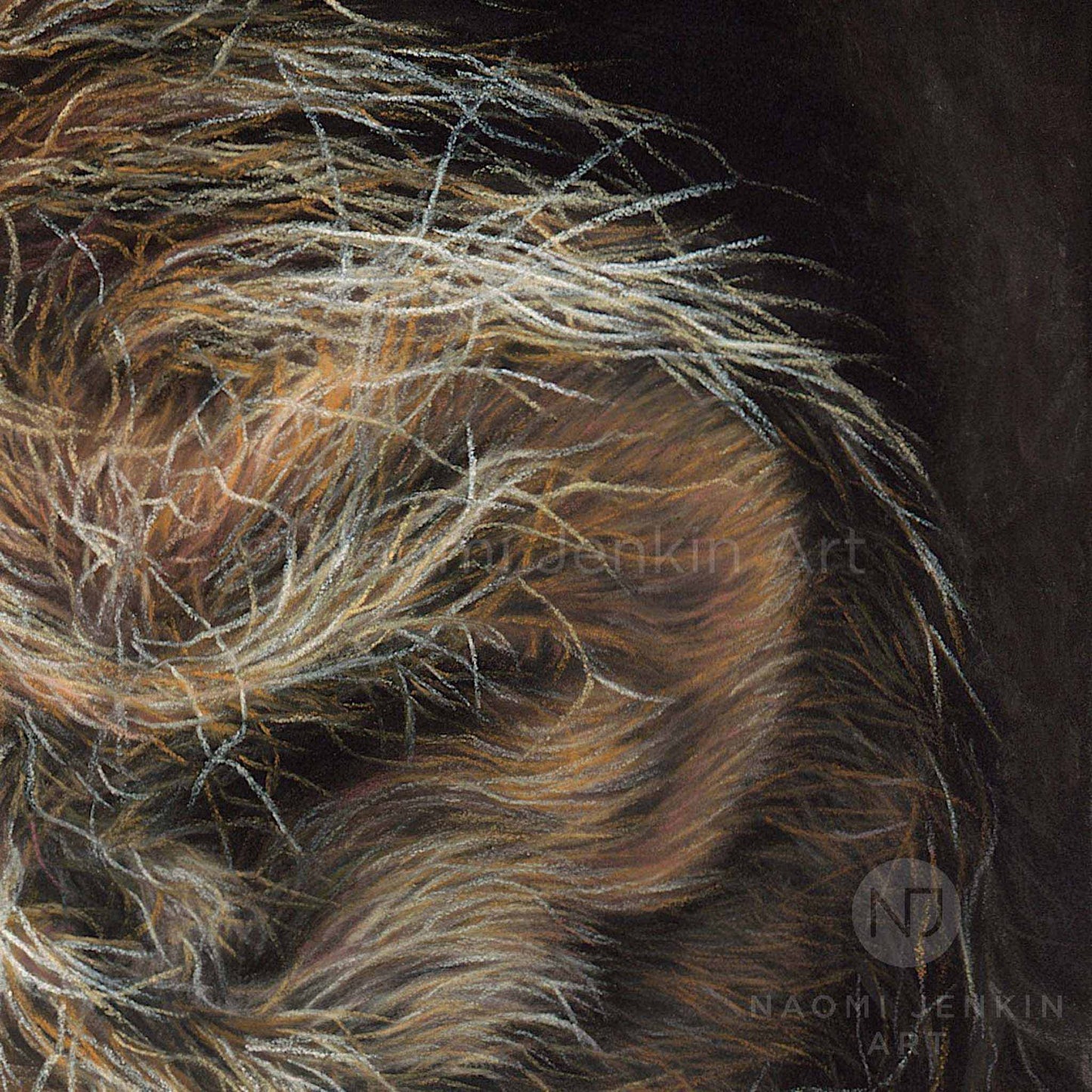 Close up of a lion's mane drawn by wildlife artist Naomi Jenkin