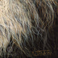Close up of a lion's mane drawn by wildlife artist Naomi Jenkin from the print 'Watchful Eyes'